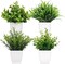 Small Fake Plants Artificial Plastic Plants in Pot Eucalyptus Plant Wheat Grass Shrub Plant Indoor Desk Coffee Table Bathroom Bedroom Home Decoration